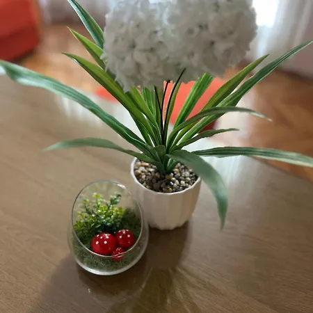 Duplex - In Center アパート *